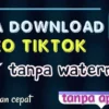 download video tiktok