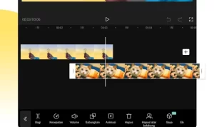 Rekomendasi Lagu Untuk Template Capcut, Jedag Jedug Viral Tiktok