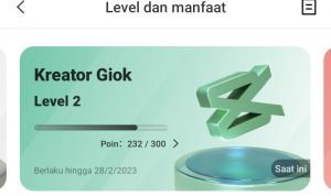 Download Video Capcut Tanpa Watermark