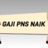 Gaji PNS Naik Sebesar 7 persen? Begini Penjelasan Menpan RB