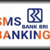 Cara Paling Cepat Nonaktifkan SMS Banking BRI