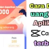 Cara Mendapatkan Uang Tambahan Dengan Aplikasi Cacpcut!