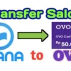 Cara Transfer Dana Ke Ovo Dengan Cepat Dan Mudah!