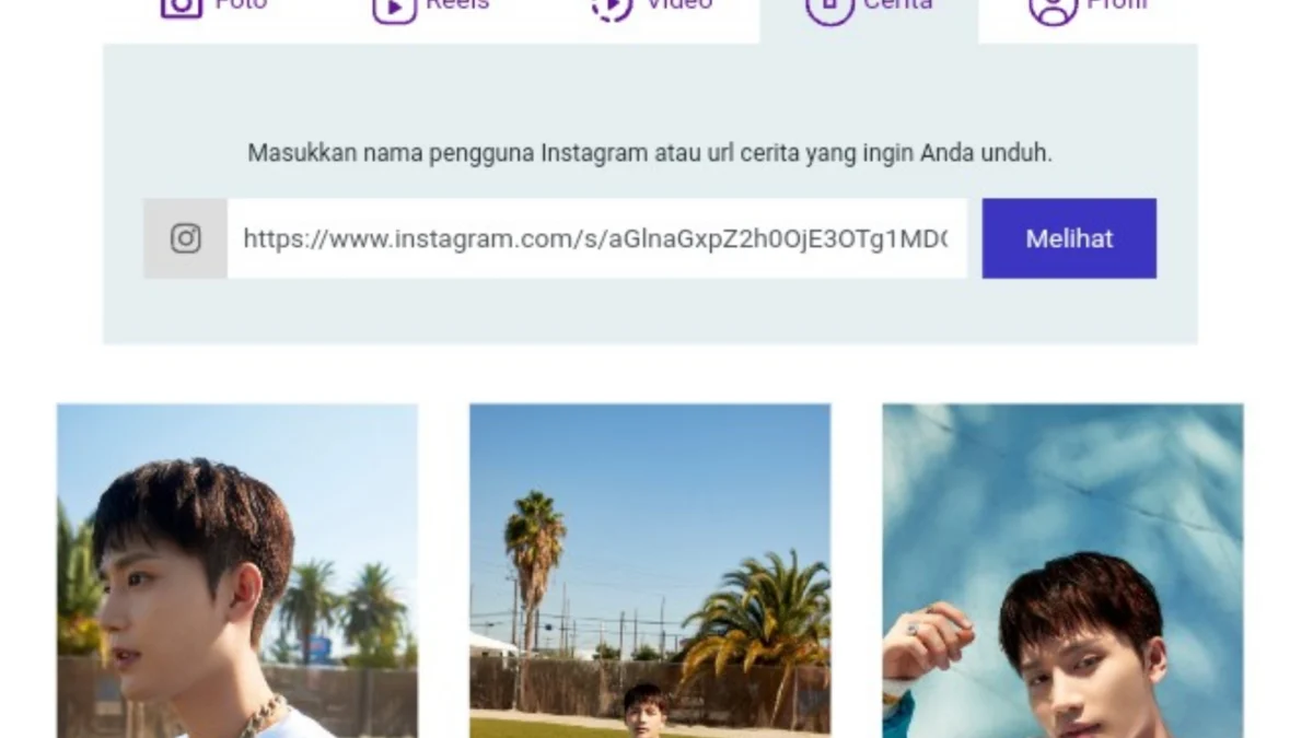 Save Instagram Story yang Paling Gampang dan Tanpa Iklan, Cuma Disini!