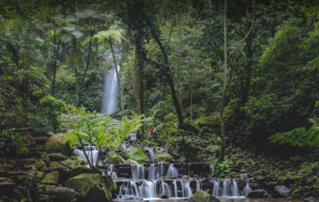 Air Terjun Dlundung