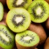 Cara Budidaya Buah Kiwi