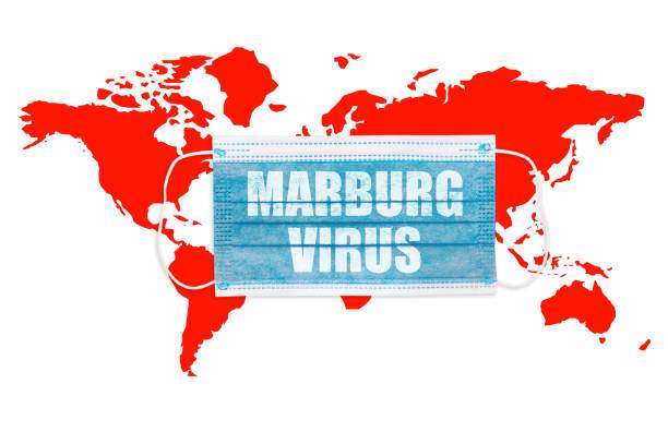 Indonesia Waspada, Tingkat Kematian Akibat Virus Marburg Capai 90%