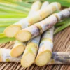 7 Manfaat Alami Sugar Cane Bisa Atasi Jerawat Meradang