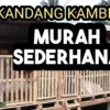 Jarak Lantai Kandang Kambing