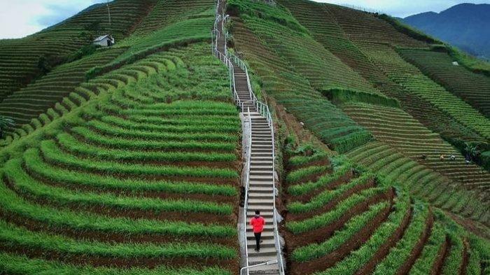 Destinasi Wisata Majalengka