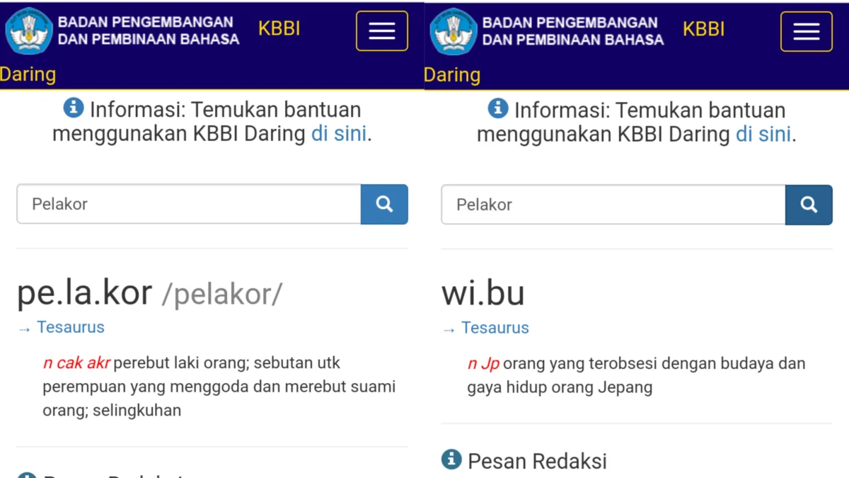 Kata "Wibu" dan "Pelakor" Resmi Masuk di KBBI Daring