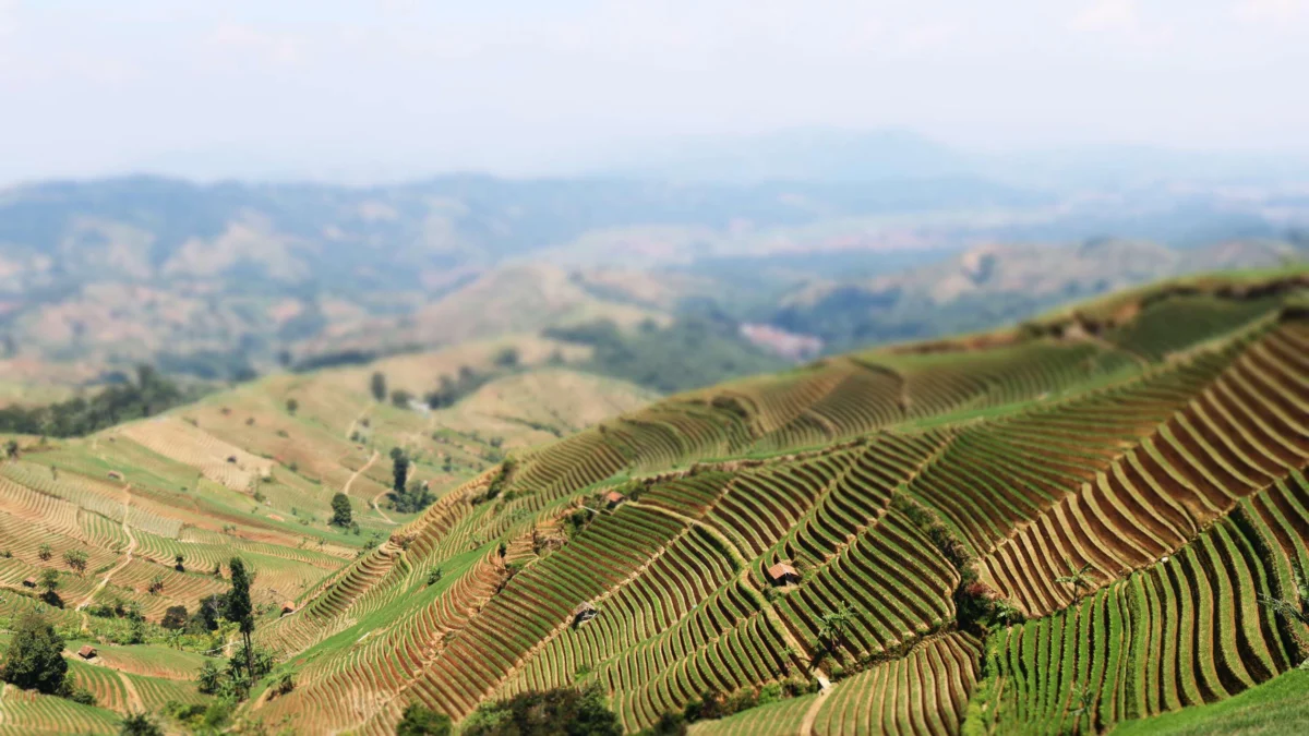 View Terbaik Menikmati Keindahan Kota Majalengka di Wisata Puncak Sawiyah