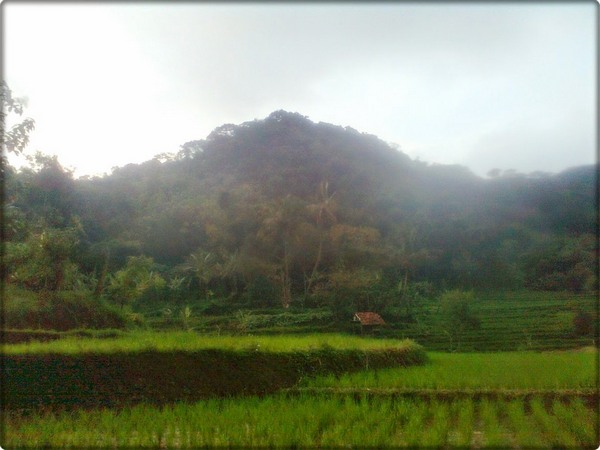 Kawasan Cagar Alam Gunung Jagat Sumedang, Tempat Flora dan Fauna yang Beraneka