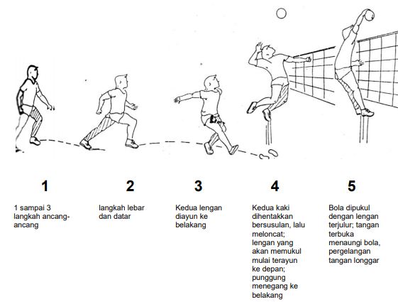 Teknik Dasar Bola Volly