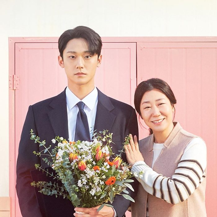 The Good Bad Mother Sinopsis dan Daftar Pemain: Drama Terbaru Lee Do ...