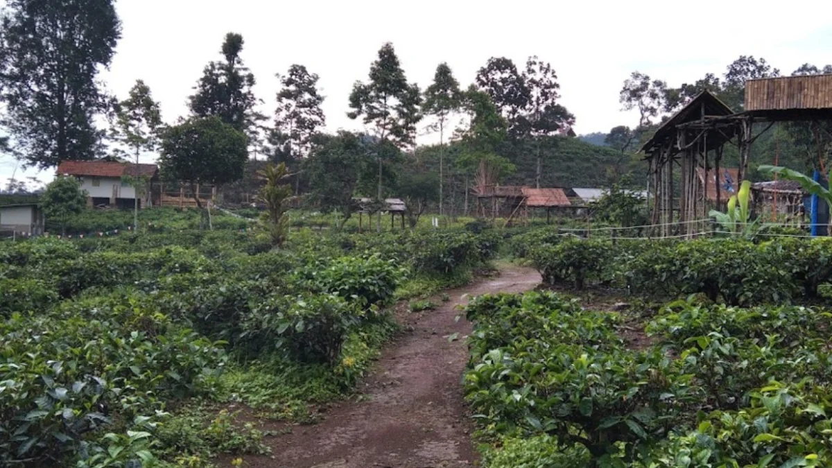 Rekomendasi Tempat Paling Populer Sumedang, Jawa Barat