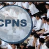 Lowongan CPNS 2023, Khusus SMA dan BIN! Buruan daftar sebelum ditutup