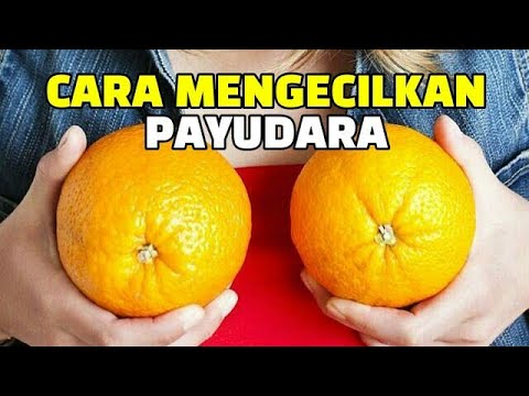 Cara Mengecilkan Payudara Dengan Minyak Kayu Putih, Dijamin Ampuh! Cara Mengecilkan Payudara Dengan Minyak Kayu Putih, Dijamin Ampuh!