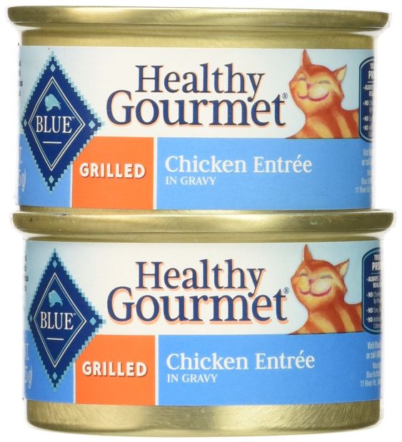Pilihan Makanan Kucing yang Berkualitas Tinggi dari Healthy Gourmet