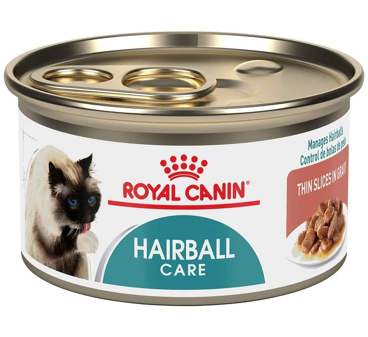 Tak Hanya Enak, Royal Canin Hairball Makanan Kucing Kaleng Juga Bermanfaat untuk Kesehatan Kucing Anda