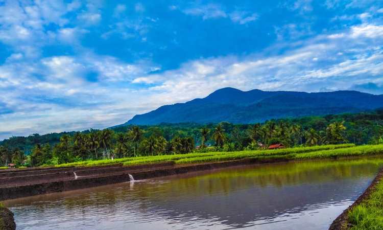 Daya tarik yang menarik Gunung Tampomas Sumedang