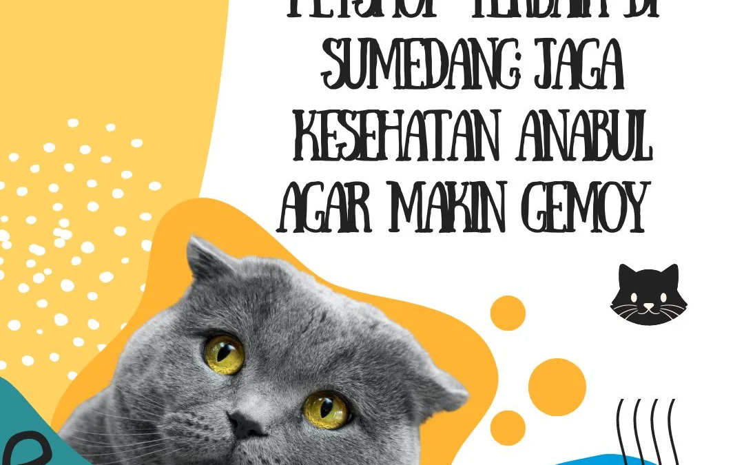 Petshop Terbaik di Sumedang: Jaga Kesehatan Anabul Agar Makin Gemoy