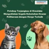 Petshop Terjangkau di Cimalaka Menyediakan Segala Kebutuhan Hewan Peliharaan dengan Harga Terbaik