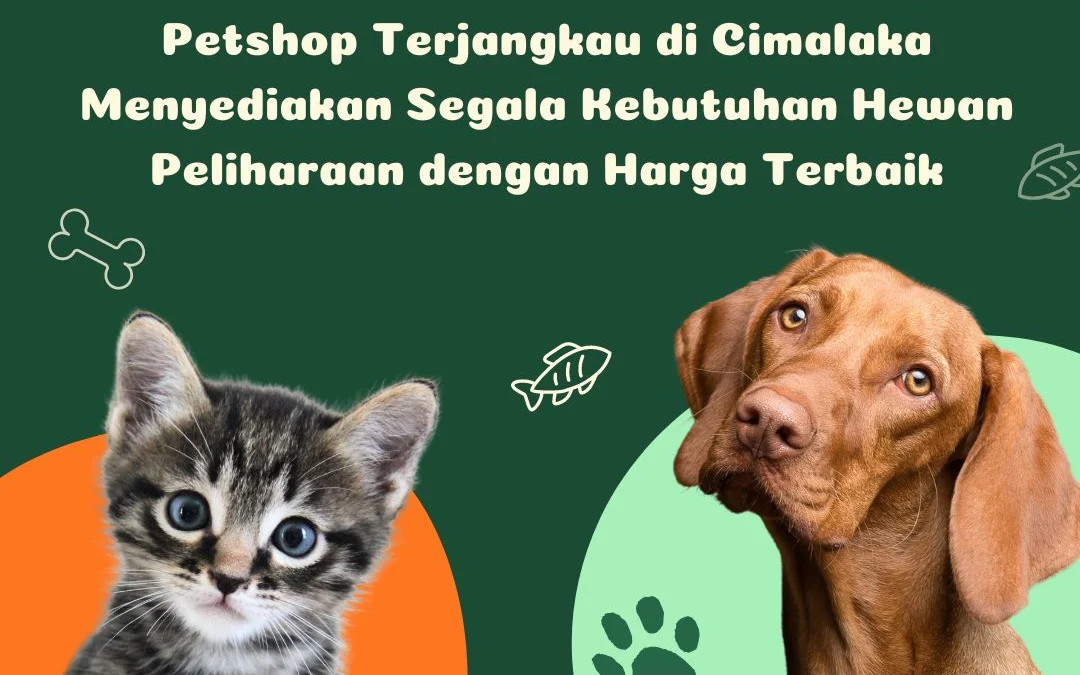 Petshop Terjangkau di Cimalaka Menyediakan Segala Kebutuhan Hewan Peliharaan dengan Harga Terbaik