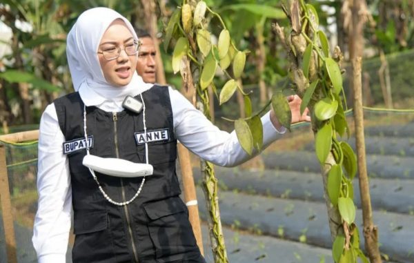 Sudah Menyentuh 1 Juta Penduduk, Ini 17 Peluang Usaha di Kabupaten Purwakarta