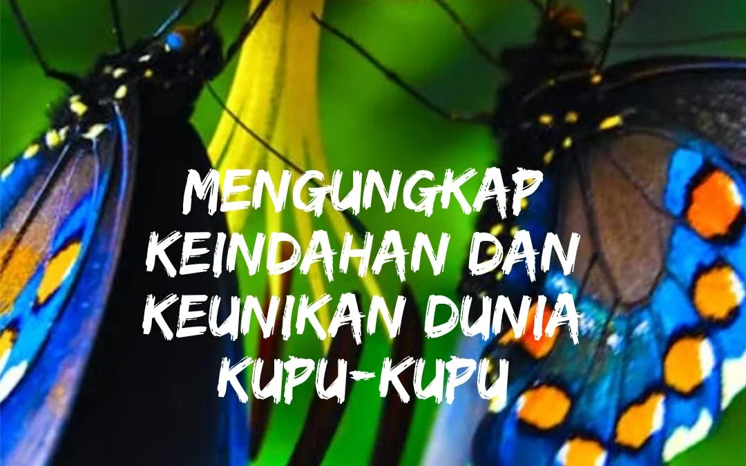 Mengungkap Keindahan dan Keunikan Dunia Kupu-kupu