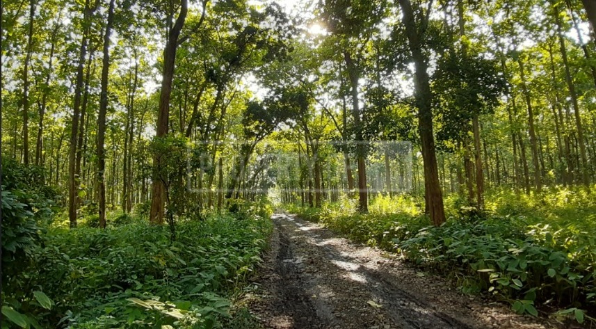 Tempat angker di Pati