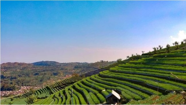 Fakta Menarik Bukit Mercury Sayang Kaak Majalengka