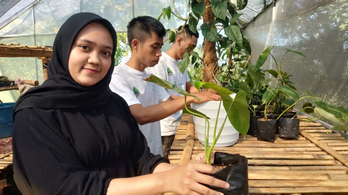 Petani Milenial, Merubah Wajah Pertanian Menjadi Lebih Moderen