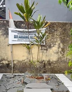 Sejarah Hanjuang Sumedang Larang