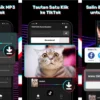 Tiktok Downloader No WM di Android, iOS, PC & Laptop Terlengkap!