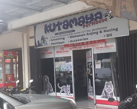 Temukan Layanan Perawatan Hewan Terbaik di Kutamaya Petshop & Pet Clinic