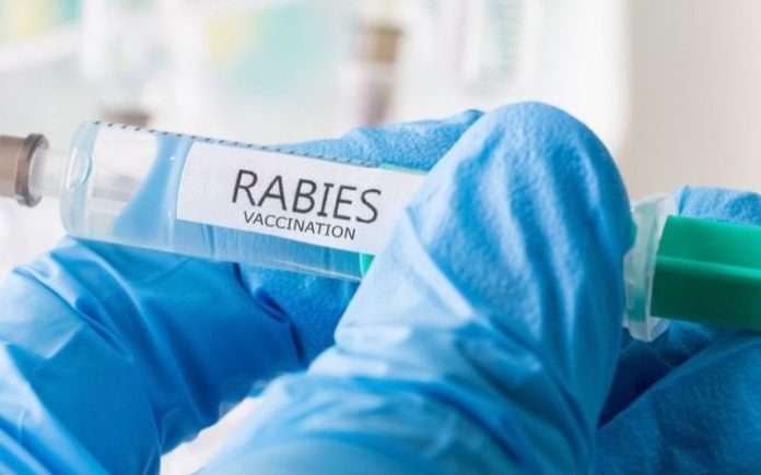 Jabar Tetap Waspada, Pemda Provinsi Jawa Barat secara kontinu mewaspadai kasus Rabies dengan melakukan berbagai antisipasi, meski menjadi salah satu provinsi yang nol kasus Rabies.