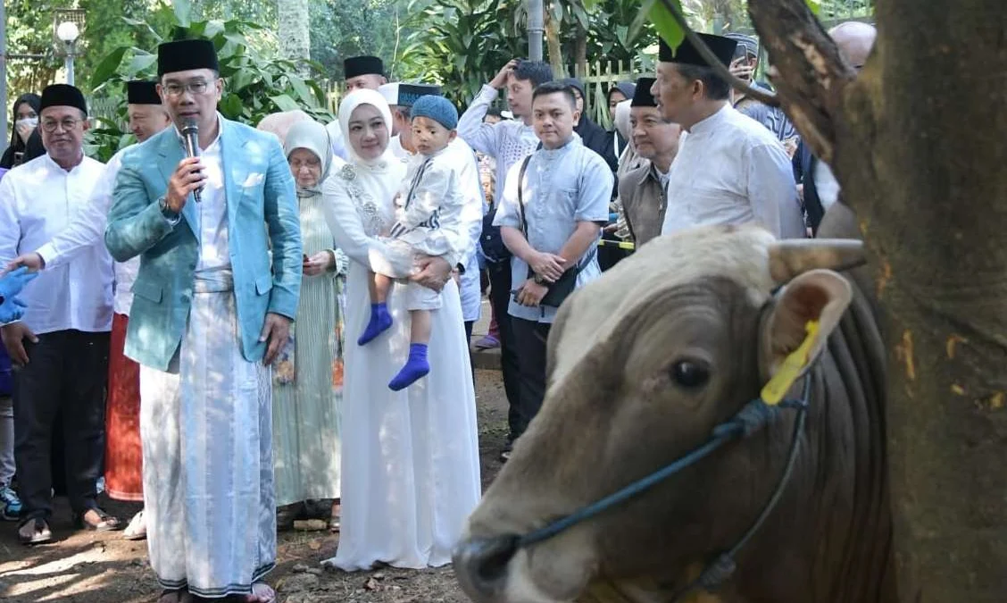 Ridwan Kamil Tinjau Pemotongan Hewan Kurban di Masjid Salman ITB