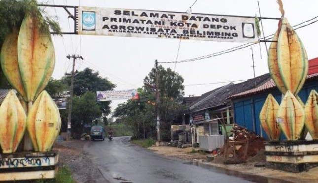 Sejarah Kota Depok di Juluki Kota Belimbing