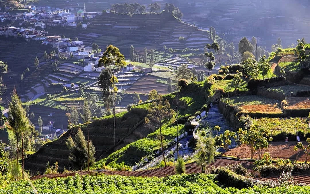 Dieng Park Wonosobo, Tempat Terbaik Menikmati Keindahan Alam Jawa Tengah! Cocok Untuk Honeymoon Bareng Ayang!