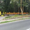 Wisata hutan di Subang