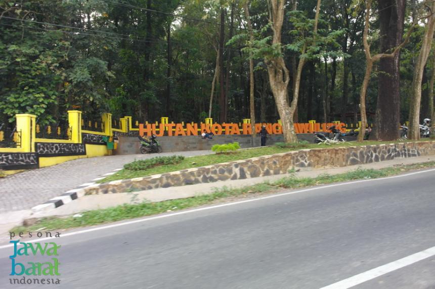 Wisata hutan di Subang