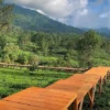 5 Wisata Terdekat dengan Stasiun Bogor yang Paling Hits!