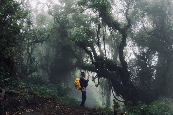 4 Gunung di Sumedang Ini Ternyata Merupakan Jalur Lalu Lintas Ghaib, Paku Bumi Waduk Jatigede