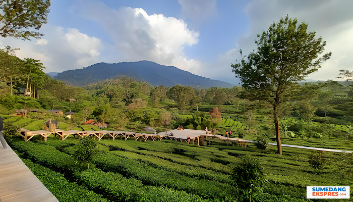 Akhir Pekan Ini Kemana Ya Enaknya? Ke Agrowisata Gunung Mas Bogor Aja Yuk! Karena Para Pengunjung Bisa Menikmati Banyak Wahana Wisata