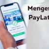 Metode Pembayaran dengan Paylater itu Bagaimana Sih? Berikut Pengertian Paylater Adalah...