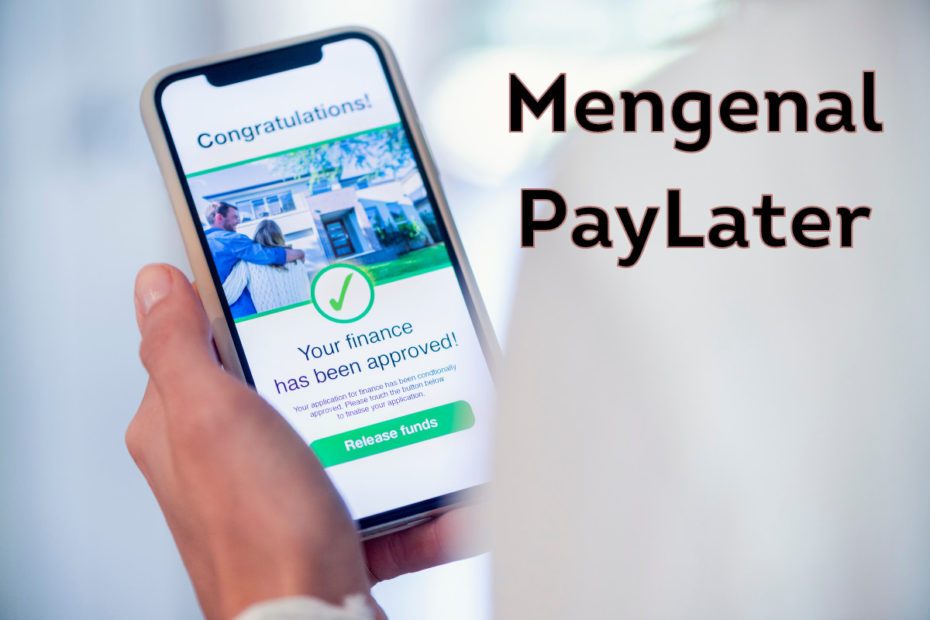 Metode Pembayaran dengan Paylater itu Bagaimana Sih? Berikut Pengertian Paylater Adalah...