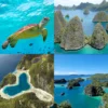 Tempat Ini Harus di Kunjungi Saat ke Raja Ampat Wisata Bisa Membuat Kita Bersyukur Kepada Tuhan