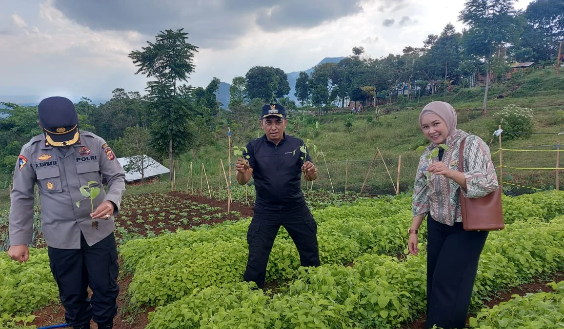 KREATIF: Warga memanfaatkan hasil perkebunanya untuk diolah menjadi produk yang siap dipasarkan. (Istimewa)