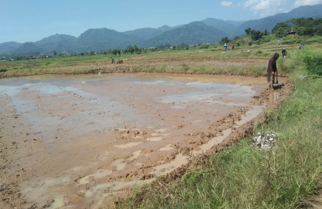 Konsep Green Belt Belum Jelas, Masyarakat Soroti Upaya Pemerintah untuk Mensuport Warga